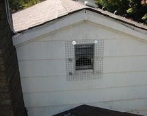 Hearing noises? What animal is in your attic? - Varment Guard Wildlife  Services
